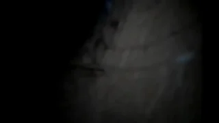 scoody shafting kendra hard